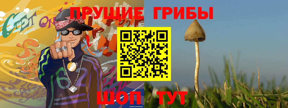 Галлюциногенные грибы прущие грибы Касимов